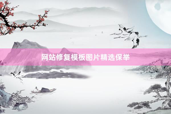 网站修复模板图片精选保举
